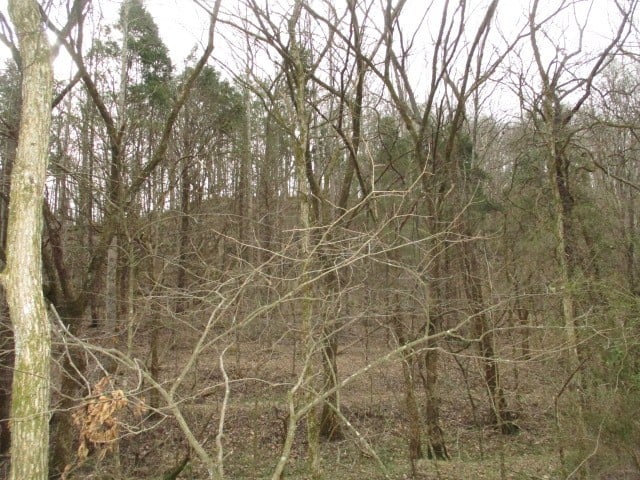 0 Rogues Fork Creek Rd, Bethpage, TN 37022