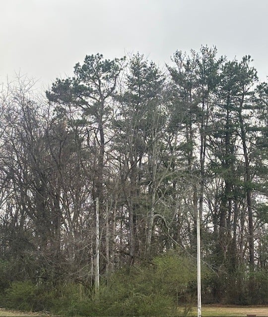 102 Lake Dr W, Dickson, TN 37055