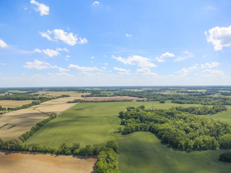 5078 Ezbon Holland Rd, Springfield, TN 37172