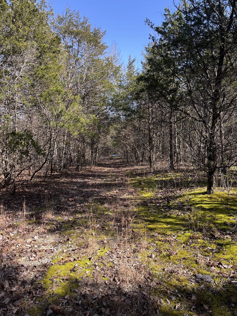0 E Pitts Ln, Murfreesboro, TN 37130