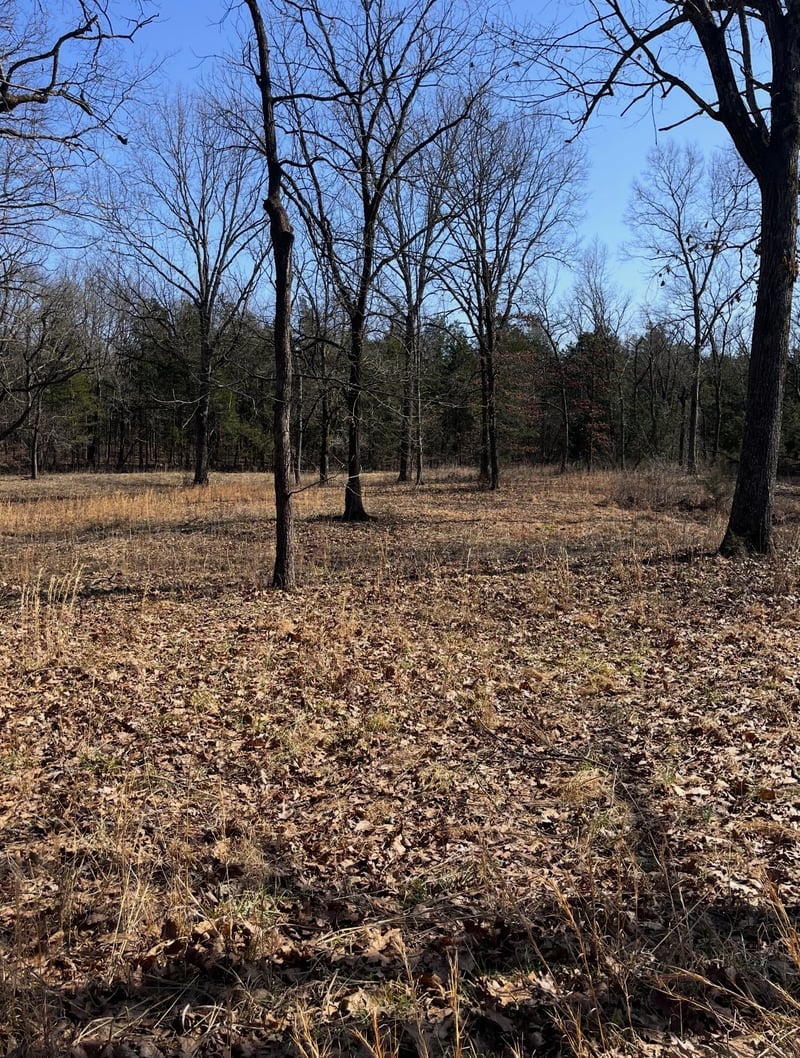 0 E Pitts Ln, Murfreesboro, TN 37130