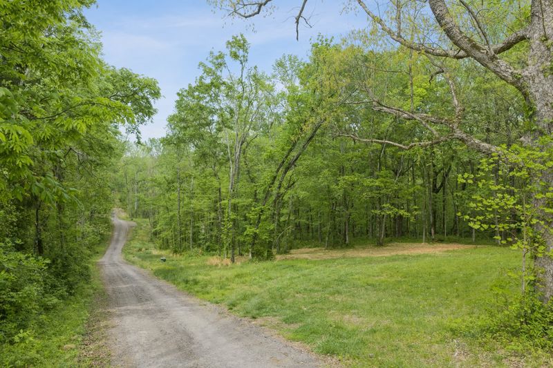 6816 Drumright Hills Ln, College Grove, TN 37046