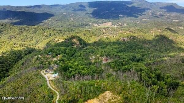 13 Villa Ridge Pl Lot 13AR, Sevierville, TN 37862