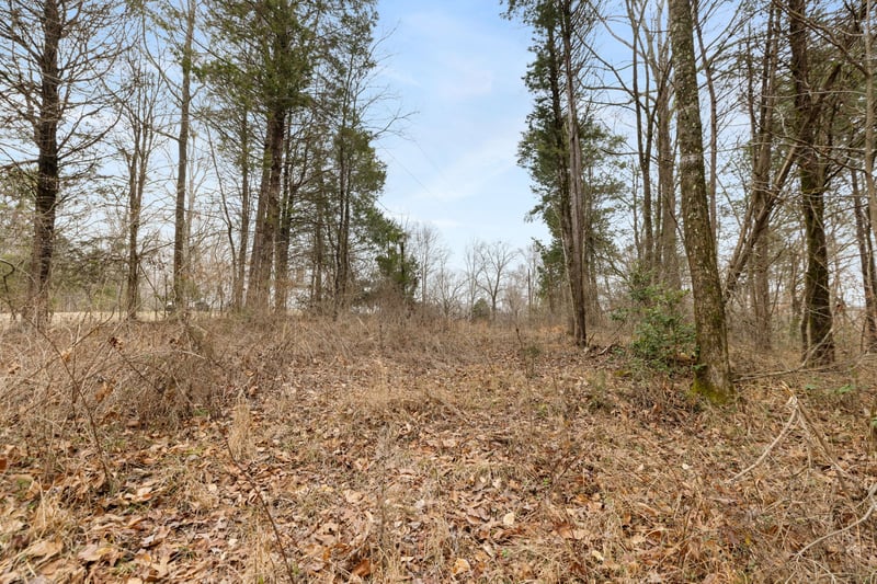 0 Griffintown Rd Lot 1, White Bluff, TN 37187