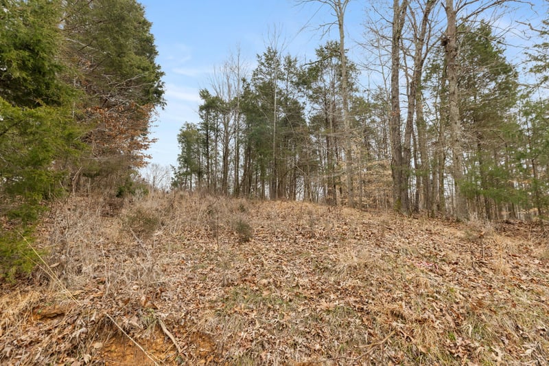 0 Griffintown Rd Lot 1, White Bluff, TN 37187