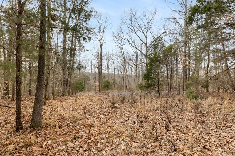 0 Griffintown Rd Lot 1, White Bluff, TN 37187