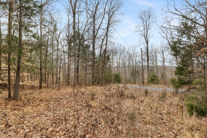 0 Griffintown Rd Lot 1, White Bluff, TN 37187