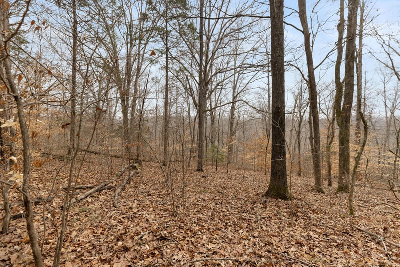 0 Griffintown Rd Lot 1, White Bluff, TN 37187
