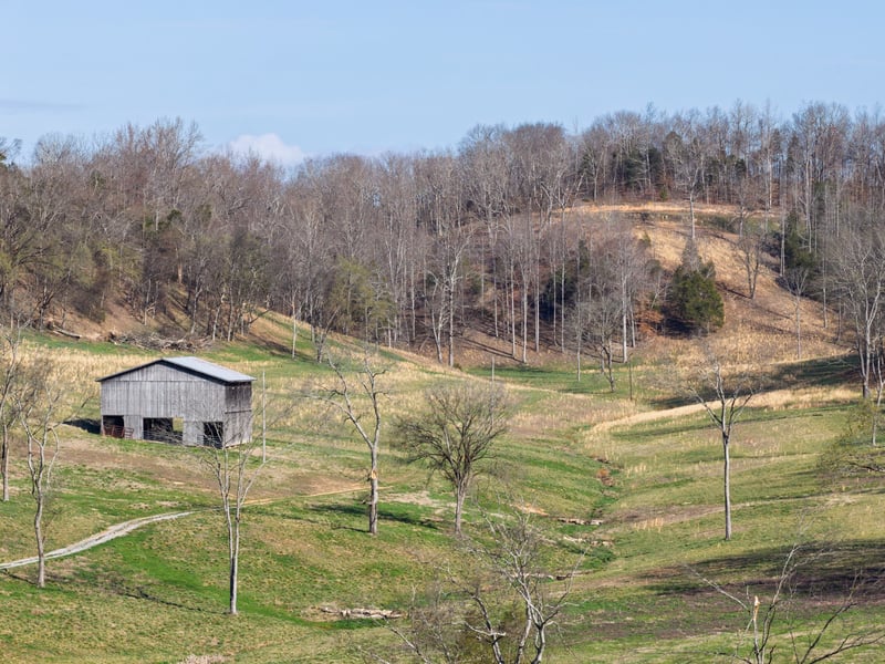 4648 Love Branch Rd, Hampshire, TN 38461