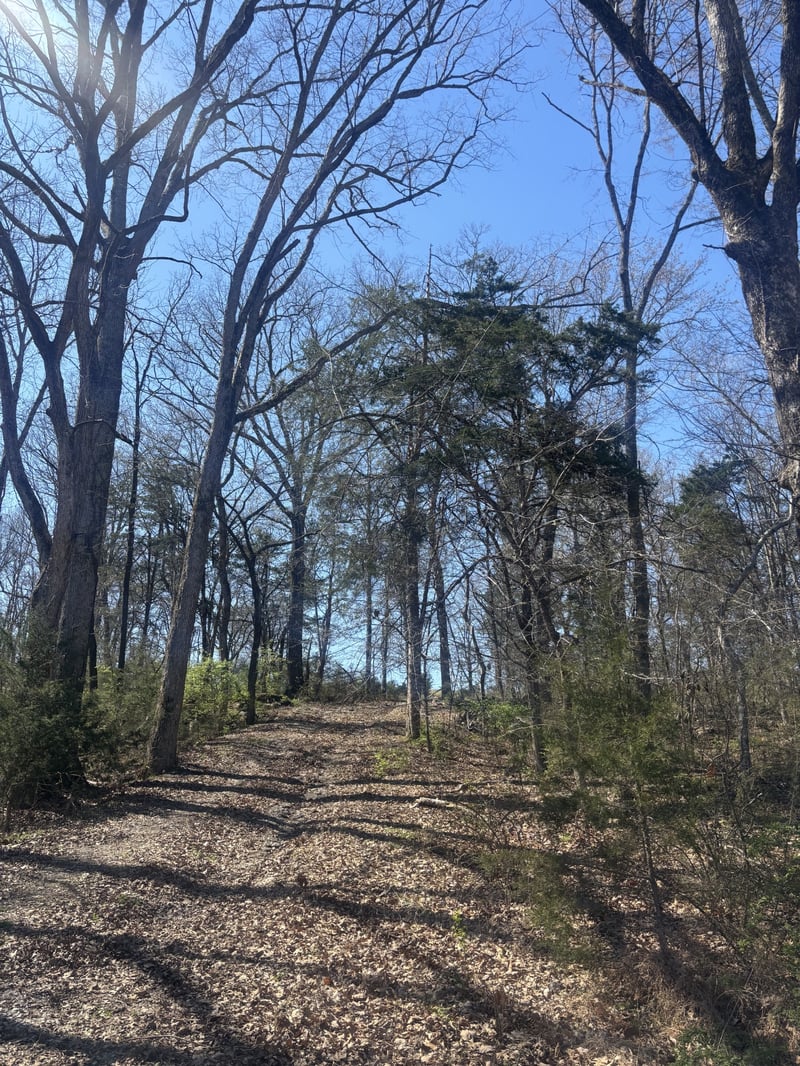 9849 Sam Donald Rd, Nolensville, TN 37135