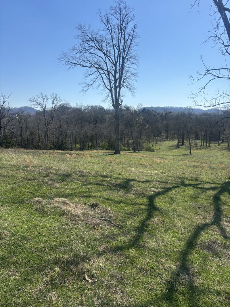 9849 Sam Donald Rd, Nolensville, TN 37135