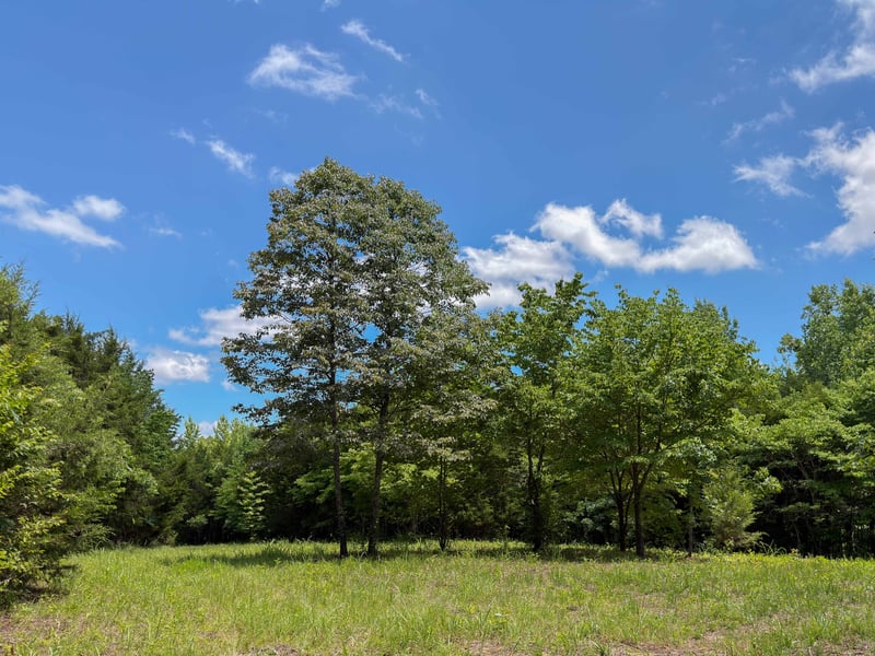 1 Highway 49 W, Ashland City, TN 37015