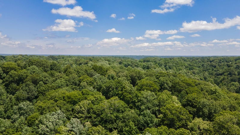 1 Highway 49 W, Ashland City, TN 37015