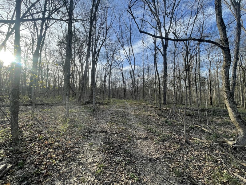 9290 Christiana Fosterville Rd, Christiana, TN 37037