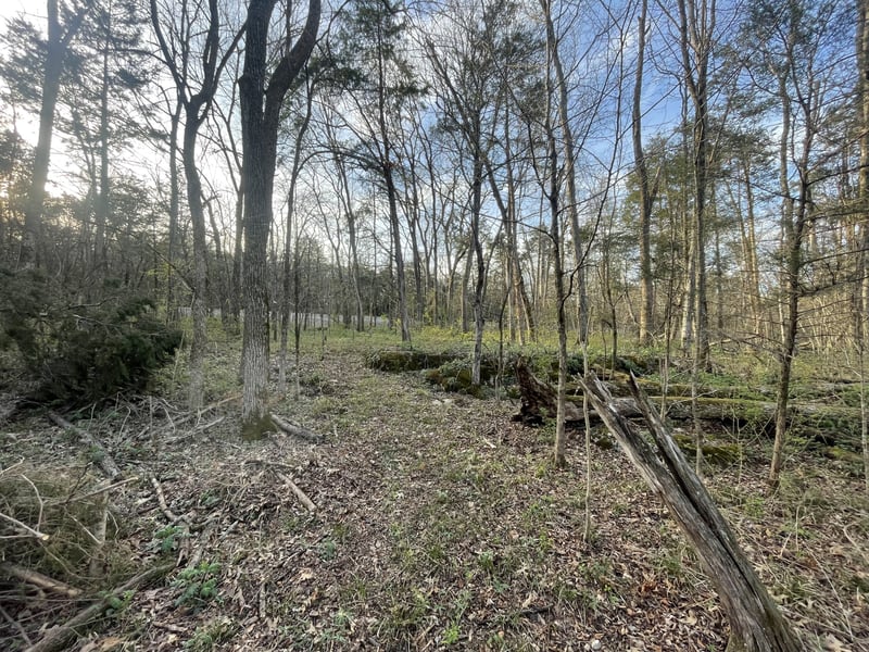 9290 Christiana Fosterville Rd, Christiana, TN 37037