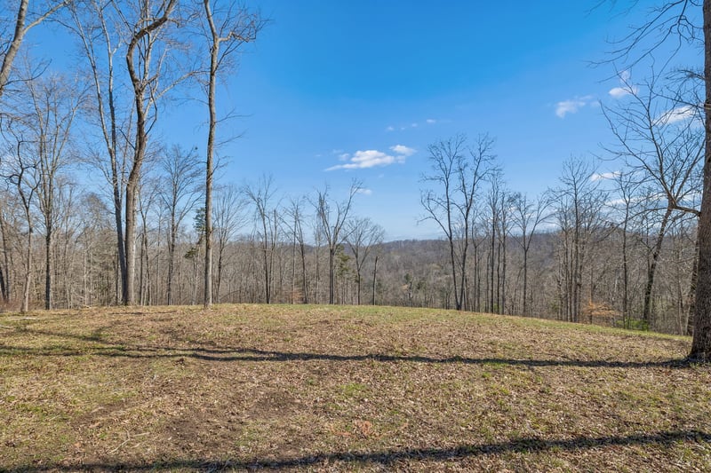 6012 Russell Ridge Ln Lot 1, Franklin, TN 37064