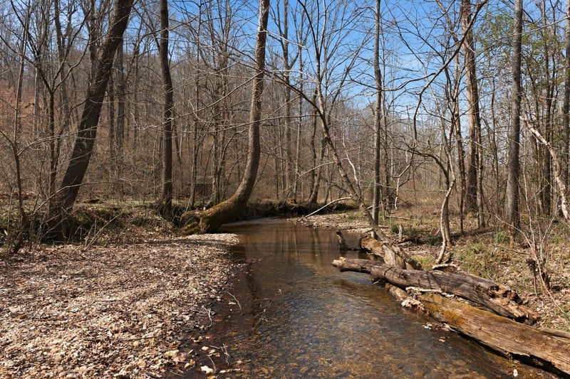 0 Cave Branch Rd, Dickson, TN 37055