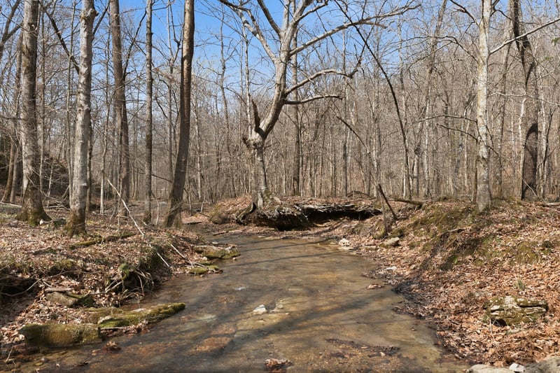 0 Cave Branch Rd, Dickson, TN 37055