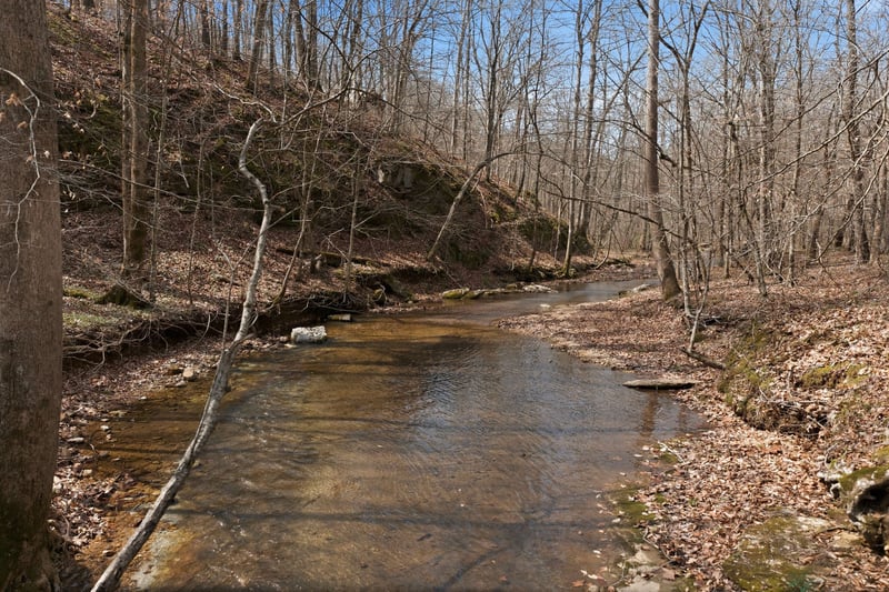 0 Cave Branch Rd, Dickson, TN 37055