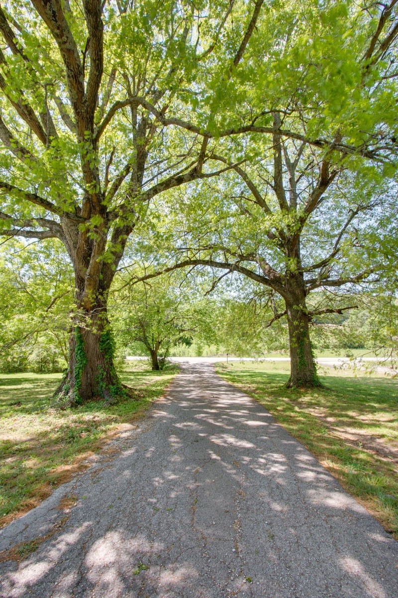 1830 Popes Chapel Rd, Thompsons Station, TN 37179
