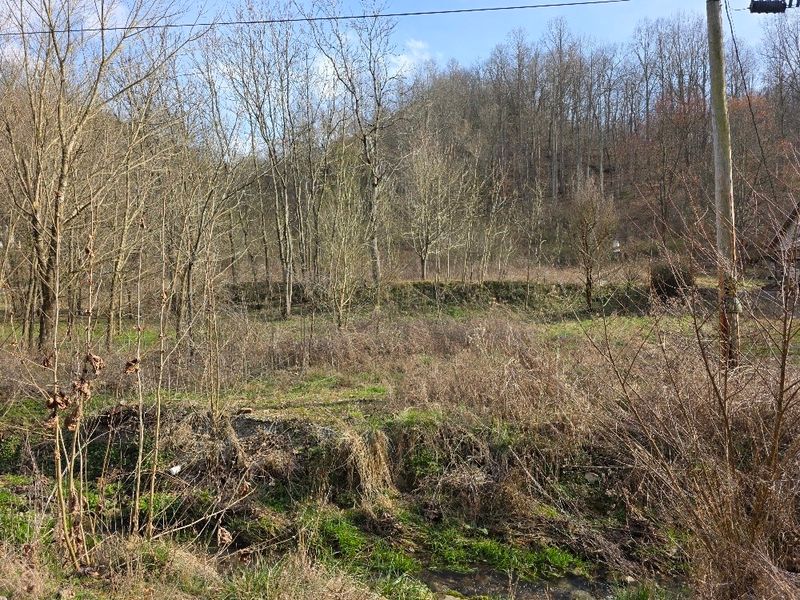0 Austin Hl, Pleasant Shade, TN 37145