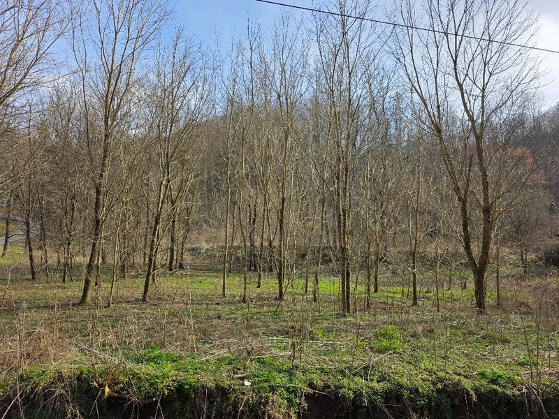 0 Austin Hl, Pleasant Shade, TN 37145