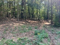 0 Shelter Branch Rd Lot 1A, Charlotte, TN 37036