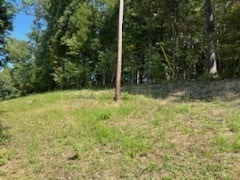 0 Shelter Branch Rd Lot 1A, Charlotte, TN 37036