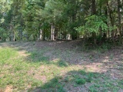 0 Shelter Branch Rd Lot 1A, Charlotte, TN 37036
