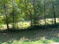 0 Shelter Branch Rd Lot 1A, Charlotte, TN 37036