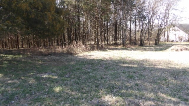 1586 Needmore Rd, Old Hickory, TN 37138