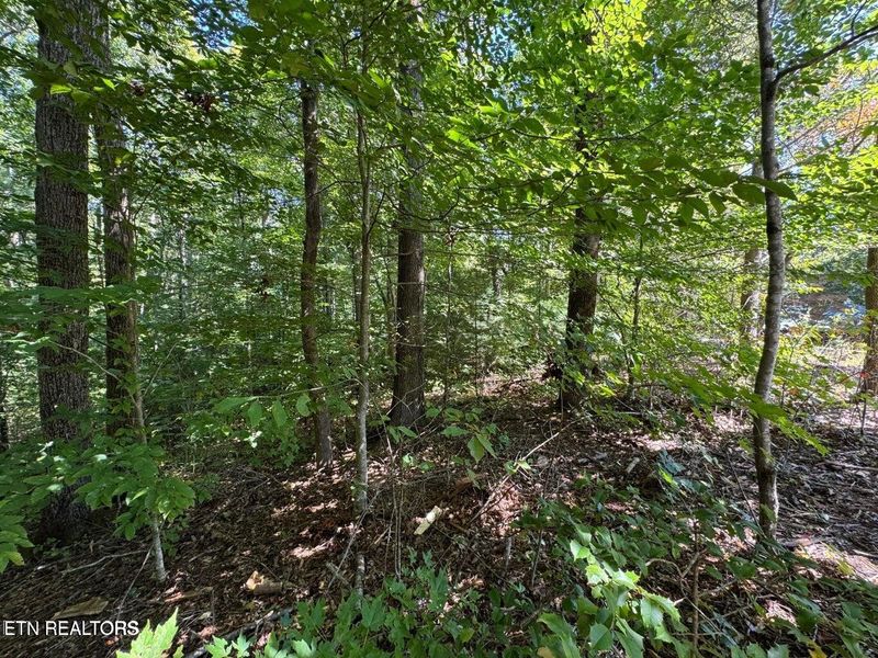 6 Saddle Brook Way Lot 6, Sevierville, TN 37862