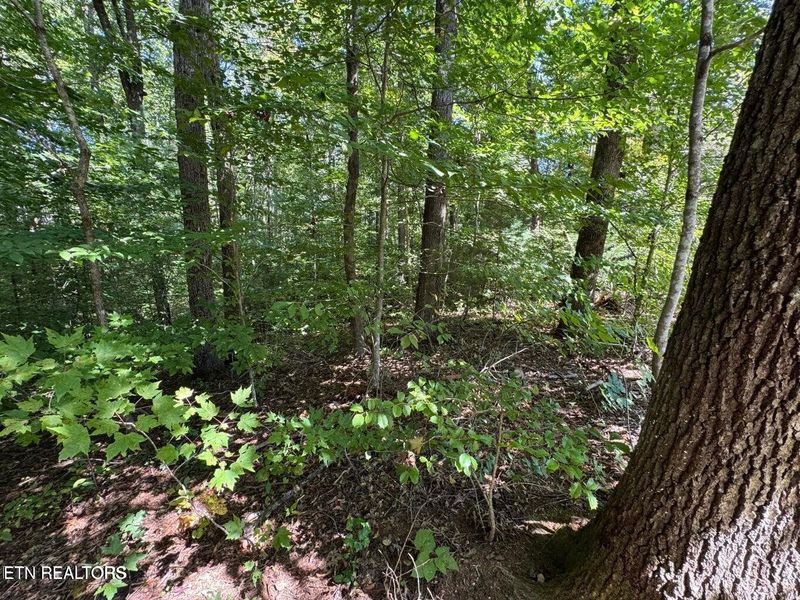 6 Saddle Brook Way Lot 6, Sevierville, TN 37862