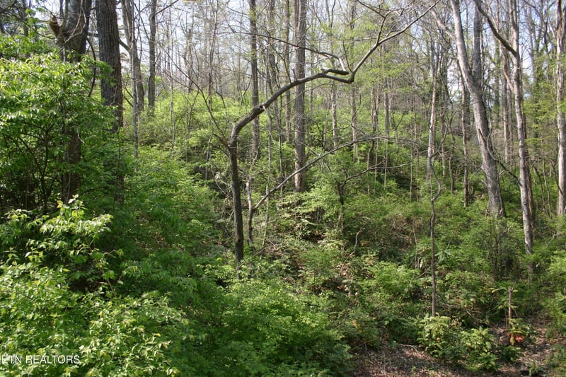 12 Vanhorn Rd Lot 12, Knoxville, TN 37918