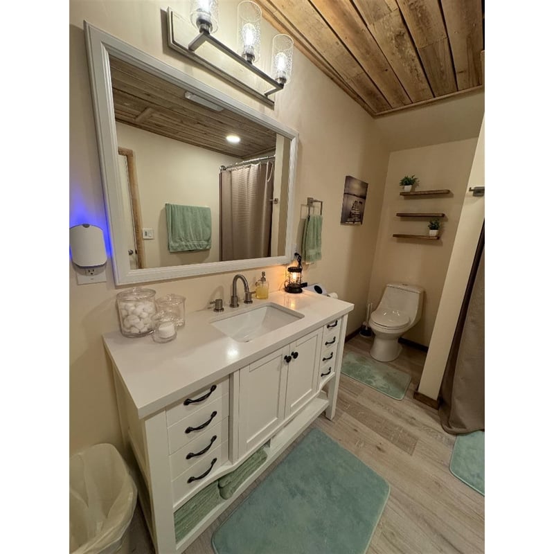 165 Haze Hyde Hollow Rd, Bethpage, TN 37022
