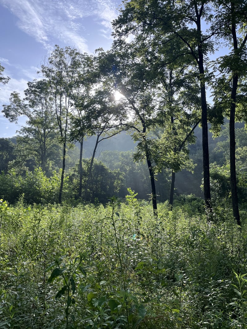 100 Henley Rd, Ashland City, TN 37015