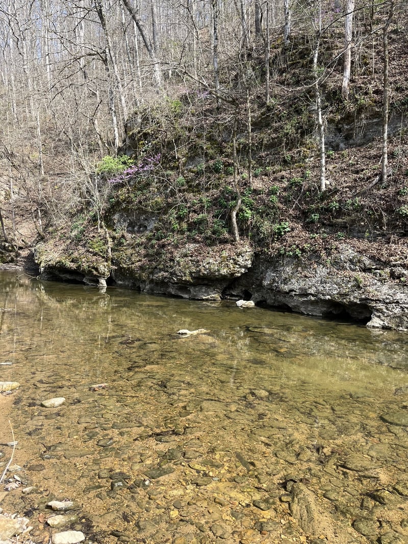 100 Henley Rd, Ashland City, TN 37015