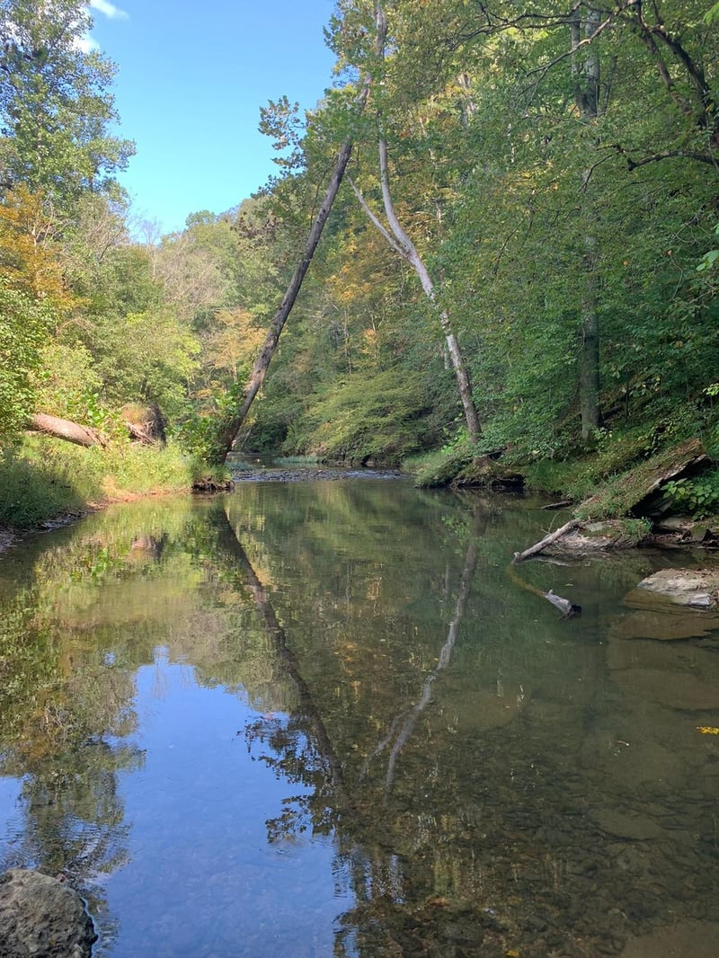 100 Henley Rd, Ashland City, TN 37015