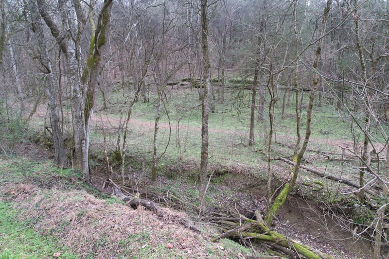0 Club Springs Rd, Elmwood, TN 38560