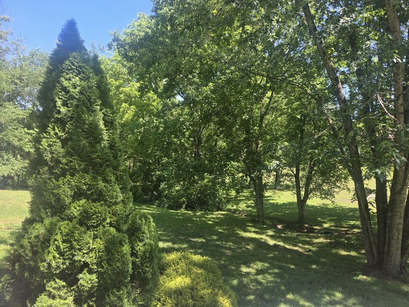 2034 Christy Ln, Greenbrier, TN 37073