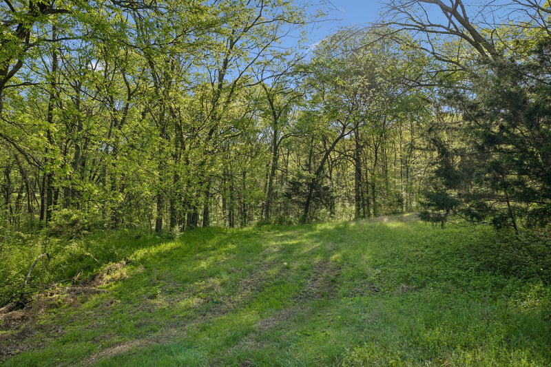 6666 Cross Keys Rd, College Grove, TN 37046
