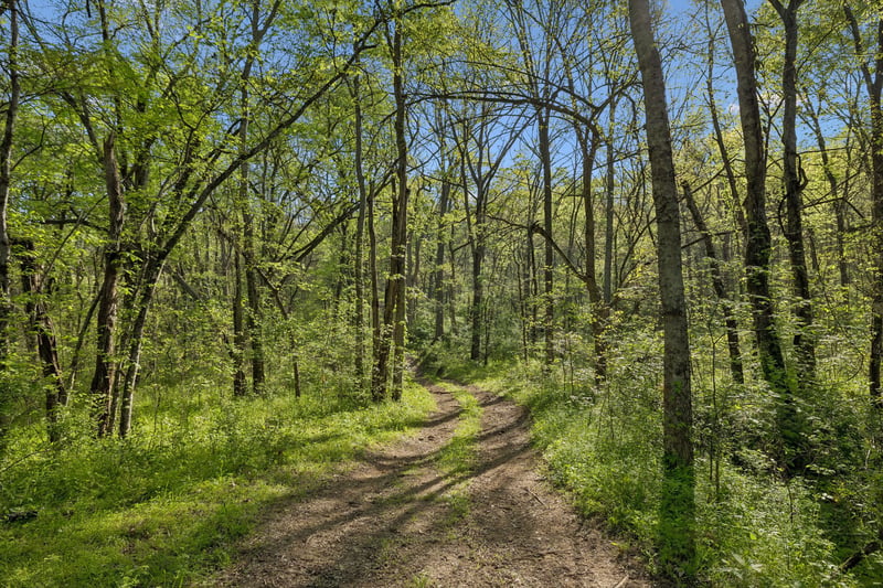 6666 Cross Keys Rd, College Grove, TN 37046