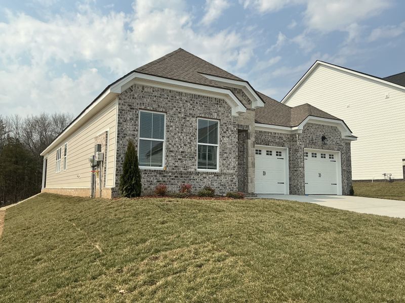 141 Emeline Way, Mount Juliet, TN 37122