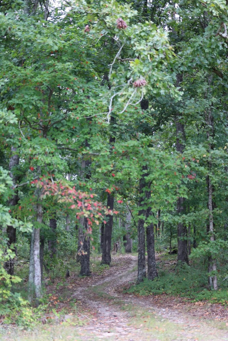 0 Ga Hwy 2, Dalton, GA 30721