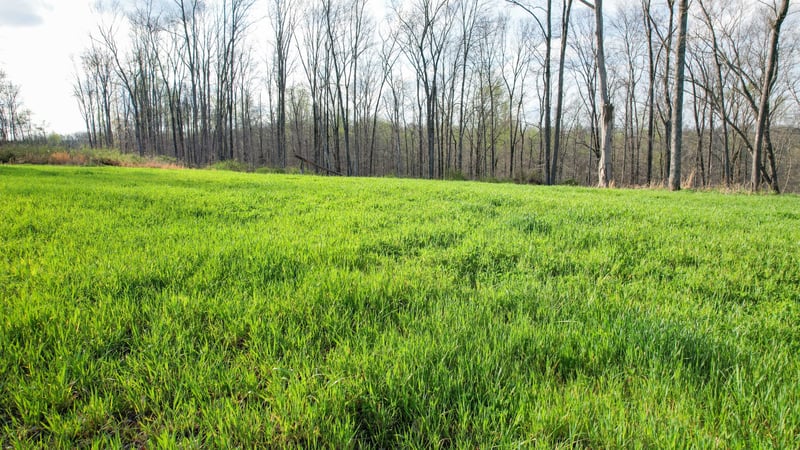 0 Bell Hollow Rd, Vanleer, TN 37181