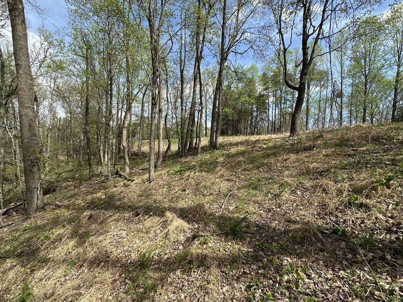 0 Maggart Rd Lot 4, Elmwood, TN 38560