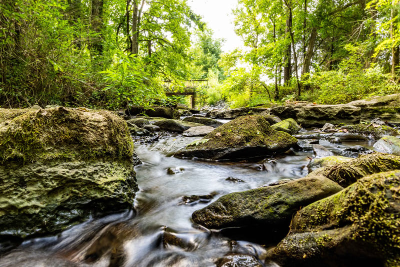 0 Horton Hwy Lot 4, College Grove, TN 37046
