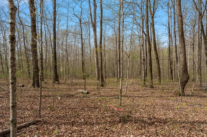 0 Natchez Trace Rd, Franklin, TN 37064