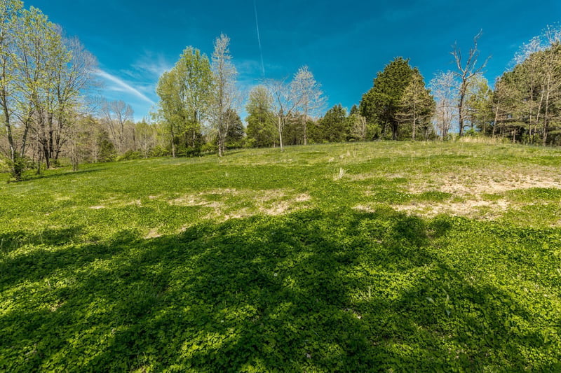 2590 Couchville Pike, Nashville, TN 37217