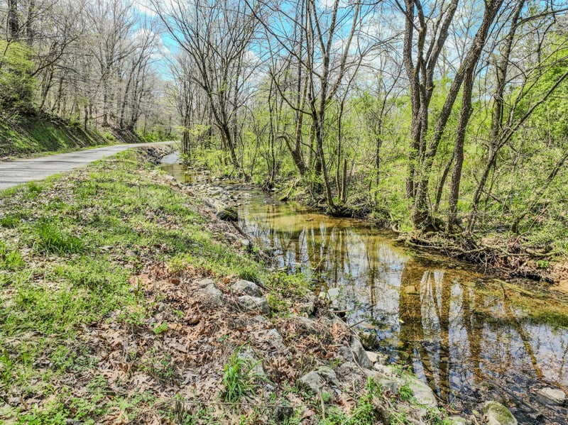 0 Pickard Hollow Rd, Mount Pleasant, TN 38474